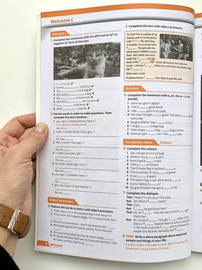 Insight 2E Elementary Student Book+Online Practice