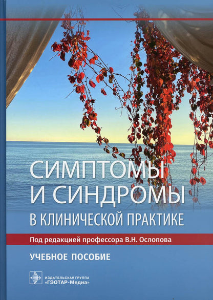 Symptômes et symptômes dans la pratique clinique : учебное пособие (31.05.01 «Лечебное дело», 31.05.02 «Pédiatrie», 32.05.01 «Медико-профилактическое дело»)