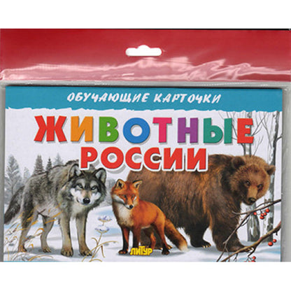 Карточки (европодвес). Животные России ; Карточки (европодвес). Животные России