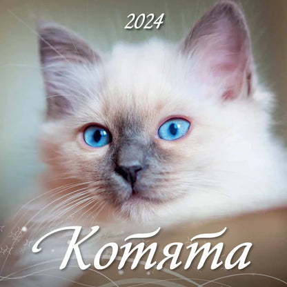 Календарь с котятами на 2024 год. Переплет на скрепке (285*285 мм) 12 листов