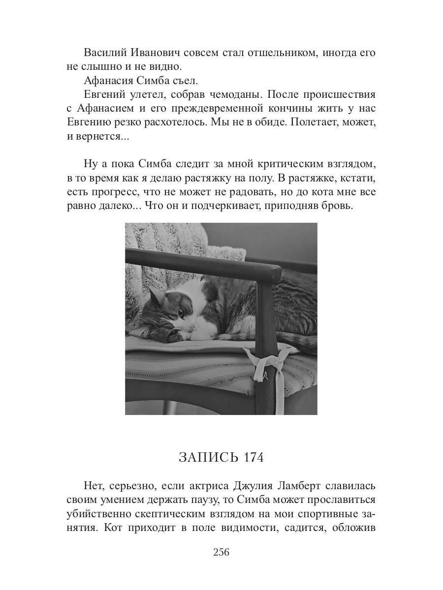 Кот, Домовой et Василий Иванович