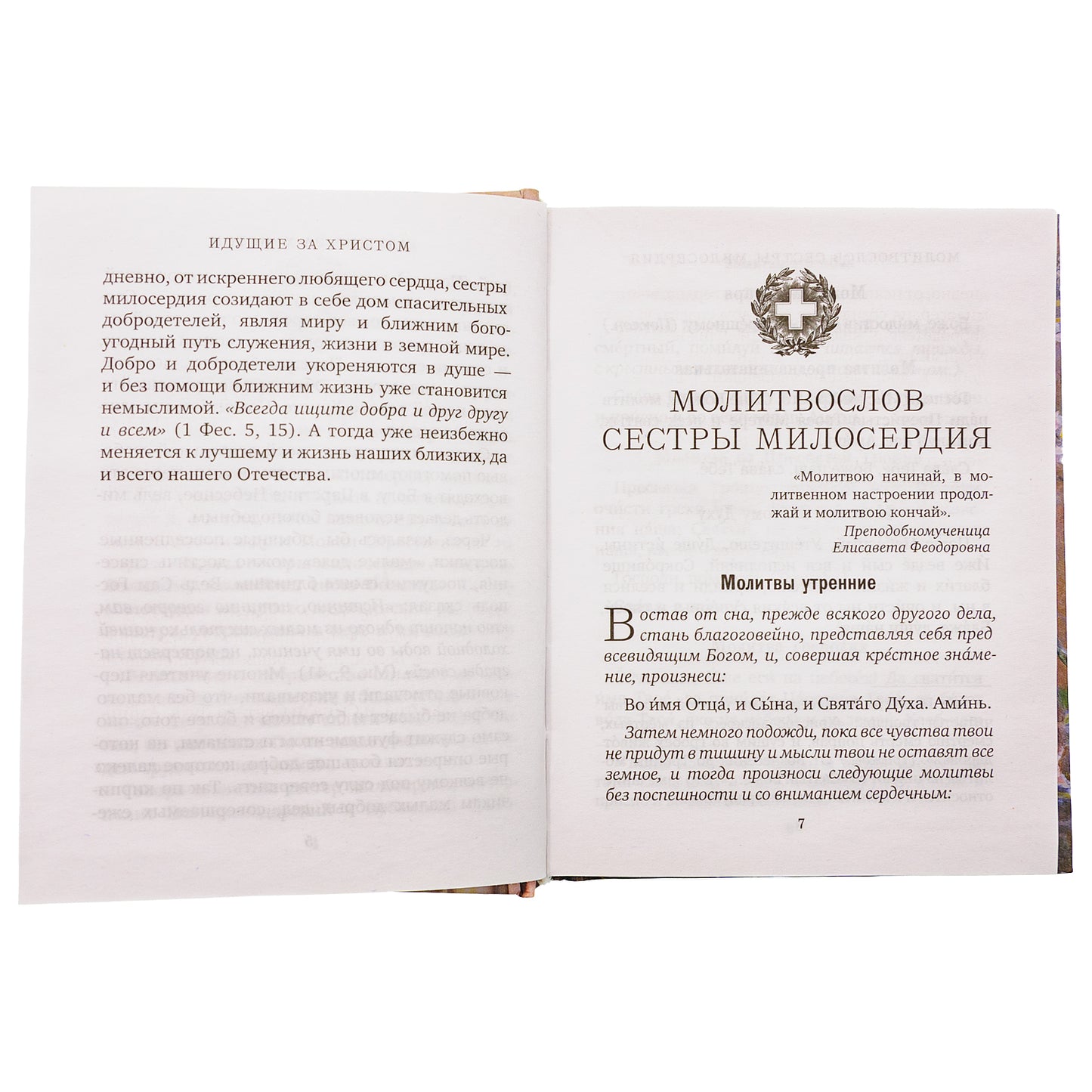 Спутник сестры милосердия