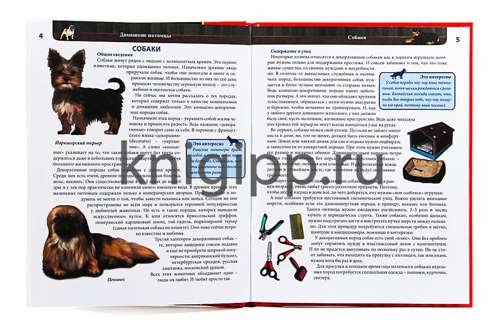 ЭНЦИКЛОПЕДИЯ. ХОЧУ ВСЁ ЗНАТЬ. красная. ДОМАШНИЕ ПИТОМЦЫ