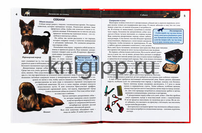 ЭНЦИКЛОПЕДИЯ. ХОЧУ ВСЁ ЗНАТЬ. красная. ДОМАШНИЕ ПИТОМЦЫ