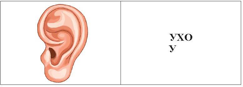 Cornev. La prise en charge des enfants et des groupes d'enfants risque de provoquer des distractions. 4-5 lettres. Уч.-мет. пос. (ФГОС)