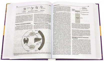 Базисная и клиническая эндокринология. Кн. 2. Гарднер Д., Шобек Д.