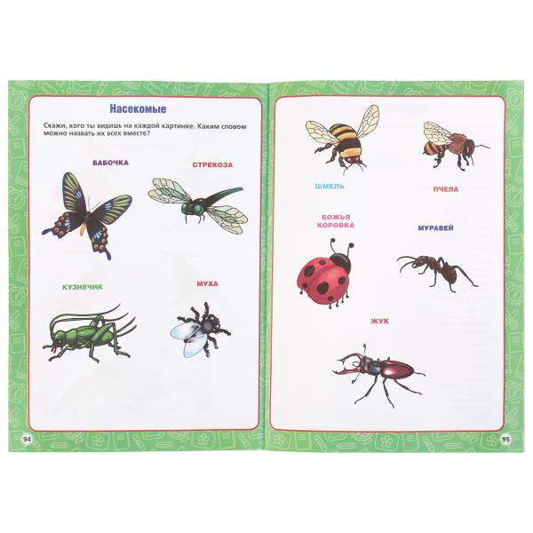 Un bon cours pour les enfants de 2 à 4 lettres (2 en 1)