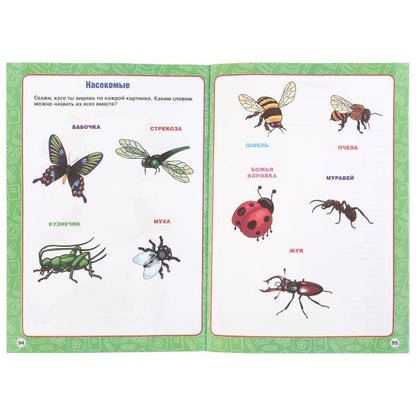 Un bon cours pour les enfants de 2 à 4 lettres (2 en 1)