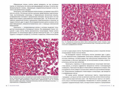 Патология печени для клиницистов