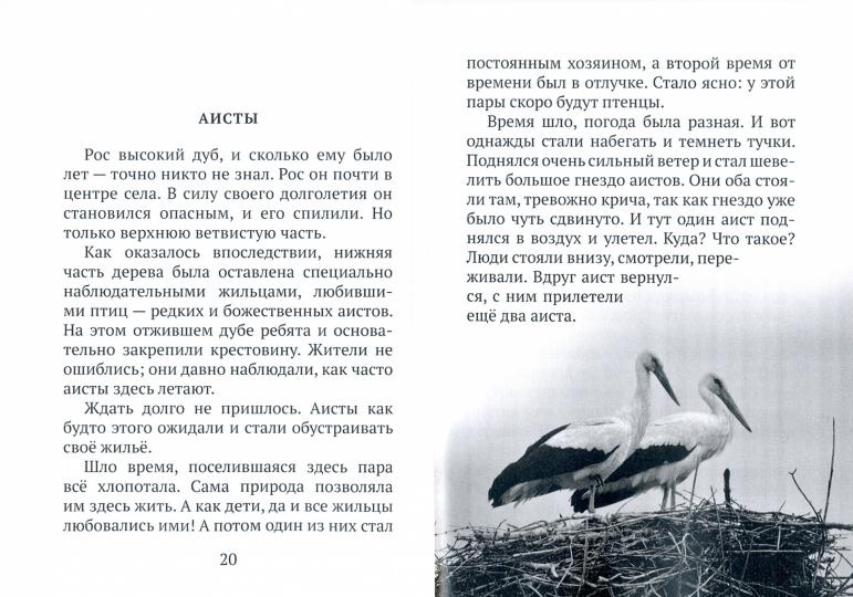 Ничего придуманного