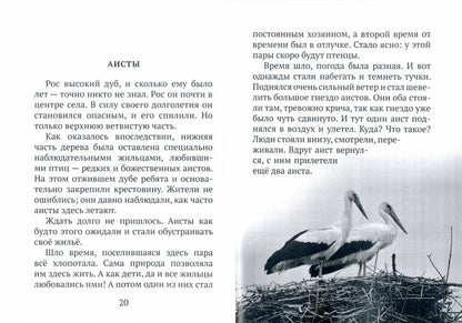 Ничего придуманного
