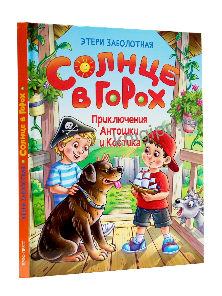 СОЛНЦЕ В ГОРОХ. Приключения Антошки и Костика, глянц.ламин 172х220