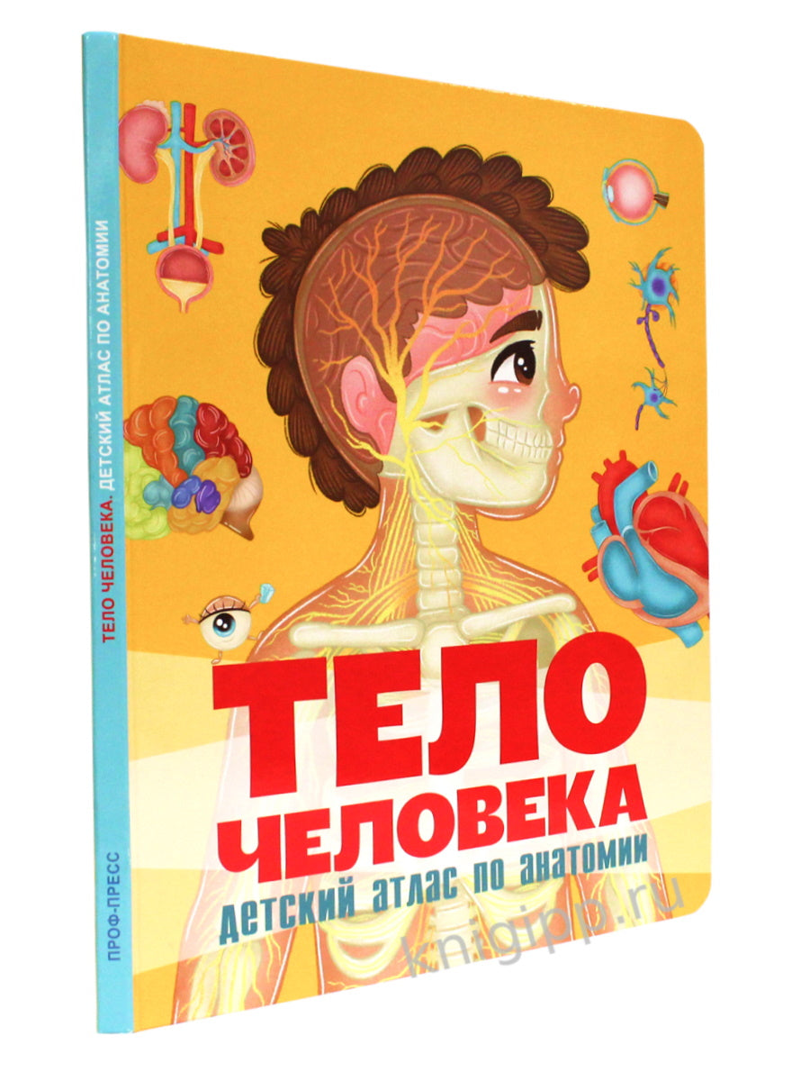 МАКСИ 235х310 7 разворотов книги на CARTONе. C'est un téléphone. Atlas national d'anatomie