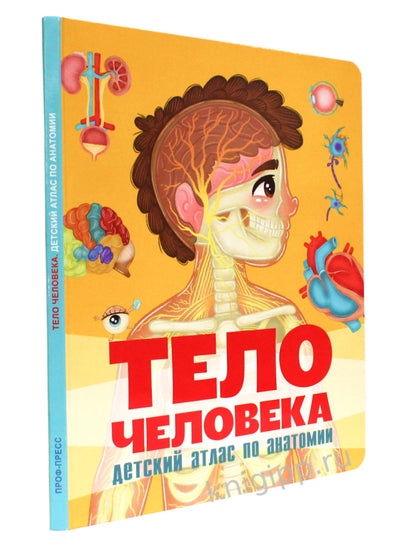 МАКСИ 235х310 7 разворотов книги на CARTONе. C'est un téléphone. Atlas national d'anatomie