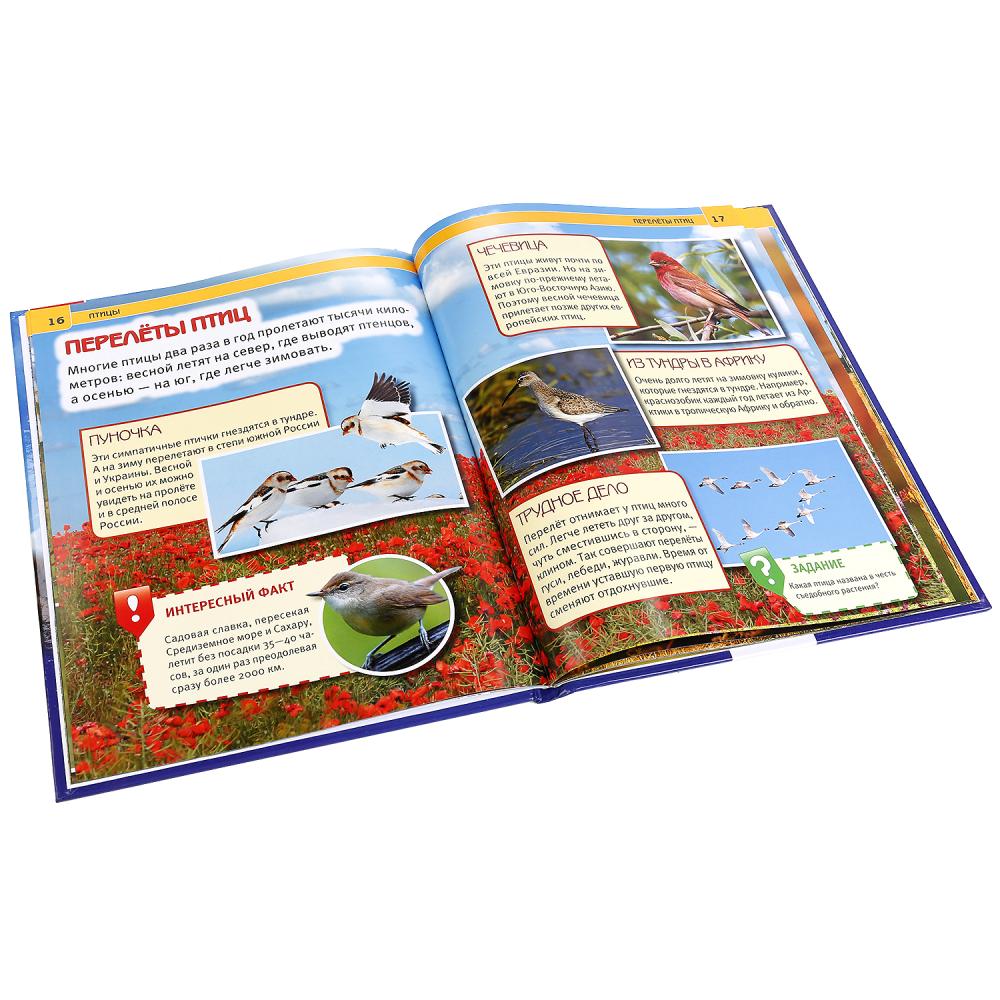 "УМКА". ПТИЦЫ (ЭНЦИКЛОПЕДИЯ А4). ТВЕРДЫЙ ПЕРЕПЛЕТ. БУМАГА МЕЛ., 48 стр., 197Х255 ММ. dans le cor.15шт