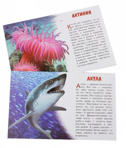 Cartes. Морские животные ; Cartes. Морские животные