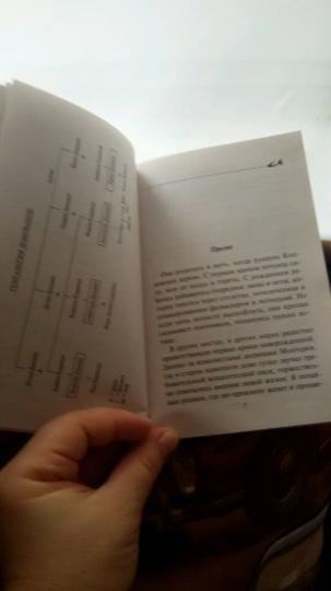 Plein. Dar Donovanov