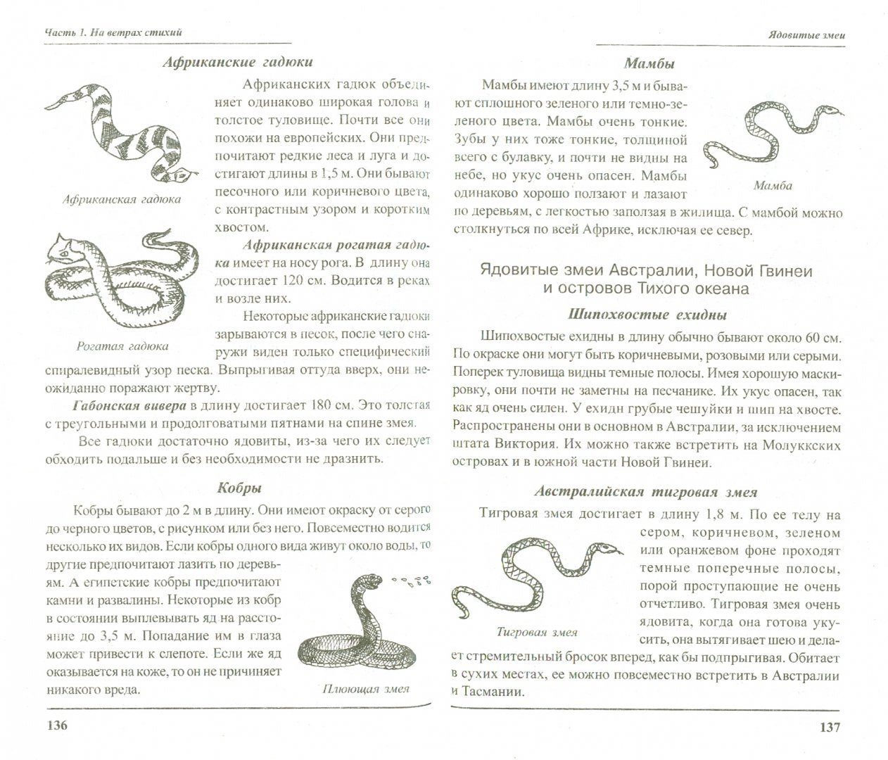 Выжить любой ценой