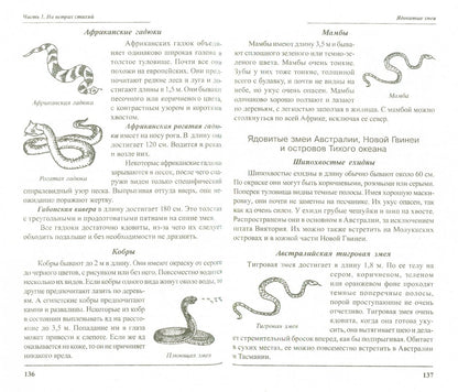 Выжить любой ценой