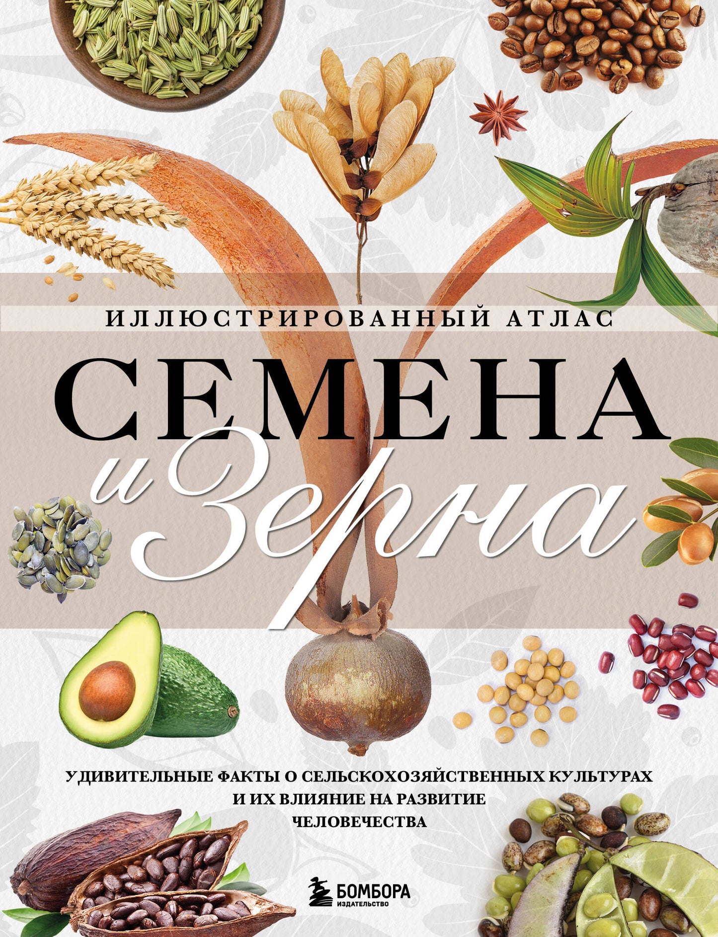 Семена и зерна. Atlas illustré. Faits particuliers sur la culture personnelle et sur la façon de vivre des gens