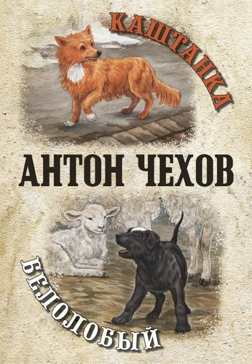 Каштанка. Белолобый (ожидается поступление)