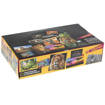 Jouet en plastique pour dinosaure, 12,7-20 cm, 6 pouces, 36 pouces/écran, ESPAGNE, jusqu'à 24 pouces, en cor.10 pouces