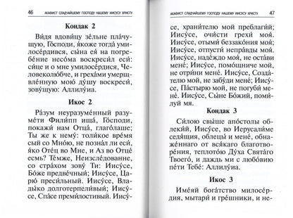 Акафисты, читаемые в болезнях, скорбях и особых нуждах
