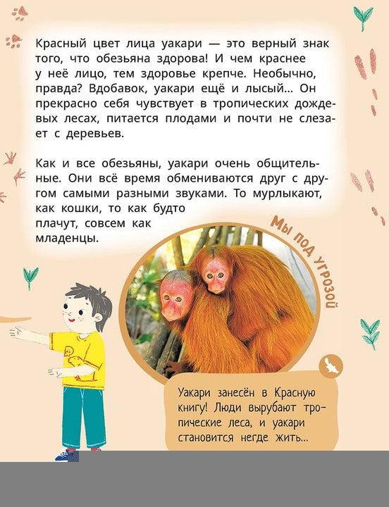 Лева и Лиза знакомятся с необычными животными