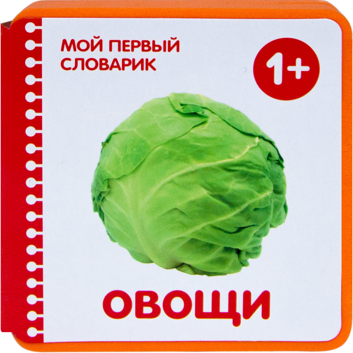 Мой первый словарик (EVA) Овощи