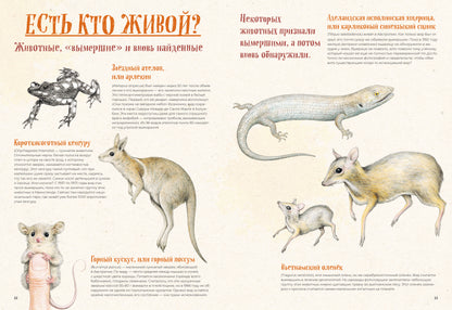 На грани исчезновения: животный мир Земли