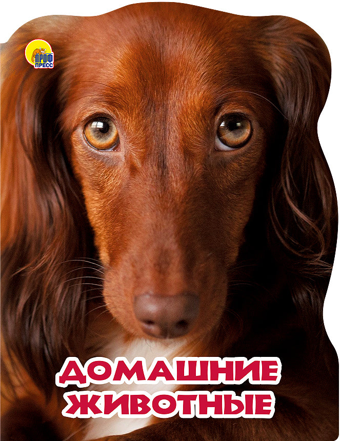 МИР ЖИВОТНЫХ. ДОМАШНИЕ ЖИВОТНЫЕ