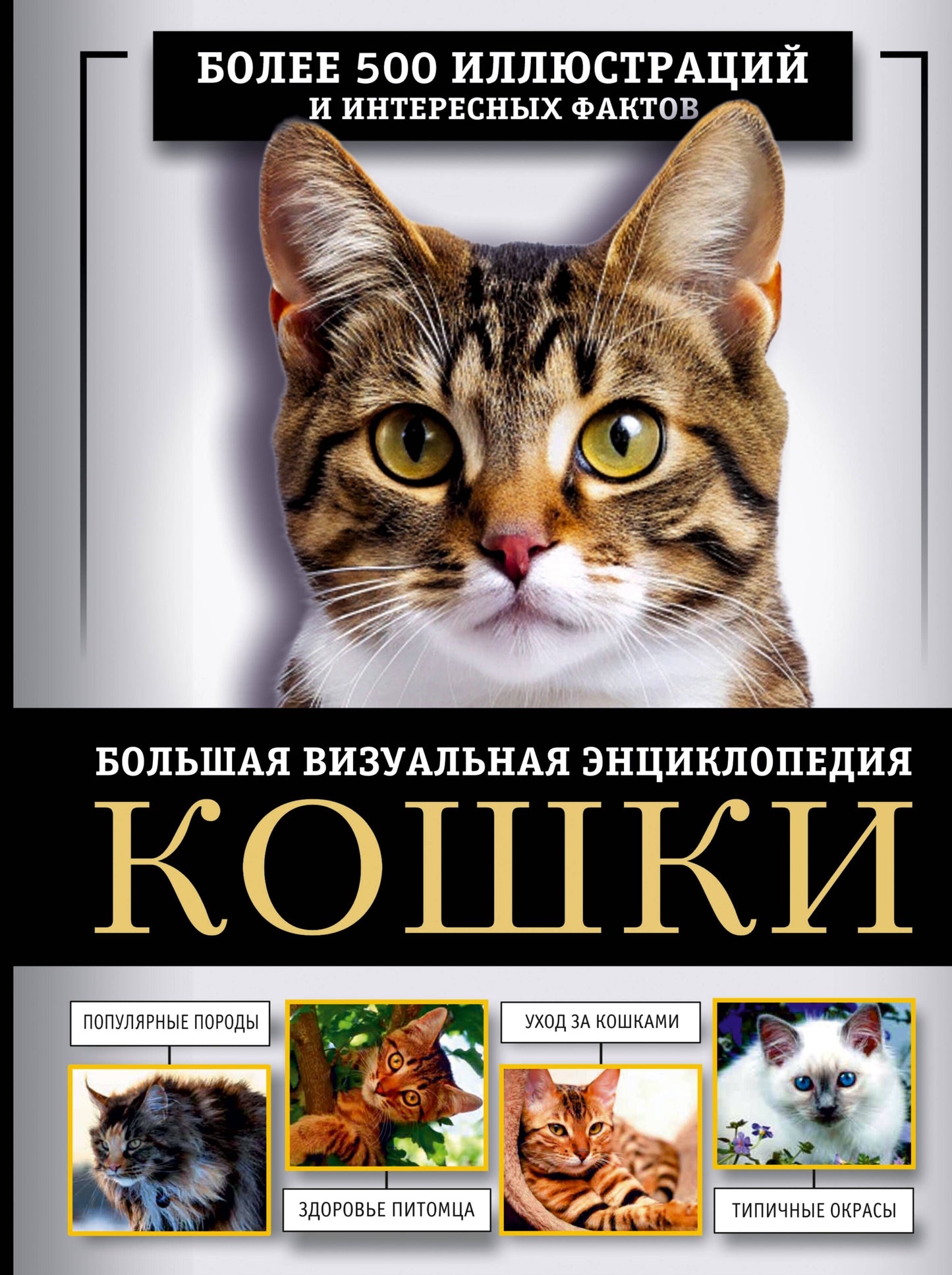 Кошки. Encyclopédie visuelle globale