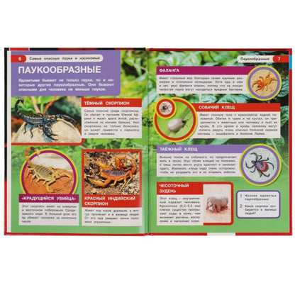 Самые опасные пауки и насекомые. Энциклопедия А4 с развивающими заданиями 197х255мм. Умка в кор.15шт