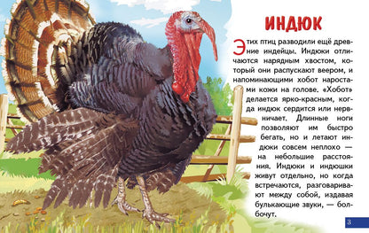 Cartes. Домашние птицы ; Cartes. Домашние птицы
