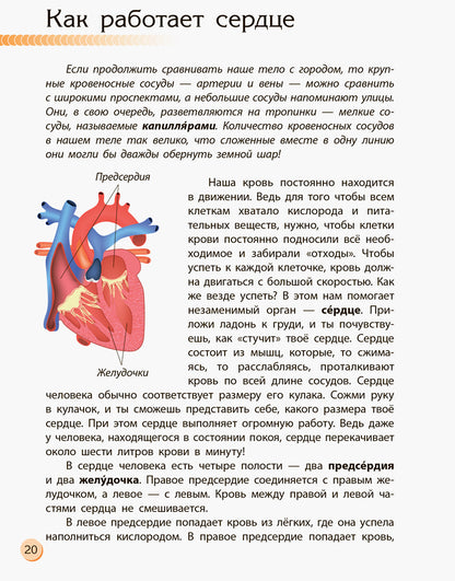 Познаём и исследуем - Человек и его тело