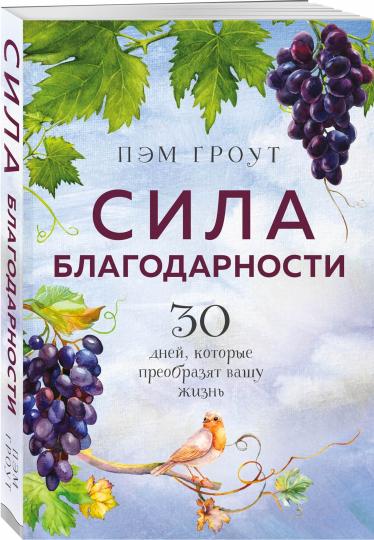 Сила благодарности. 30 дней, которые преобразят вашу жизнь