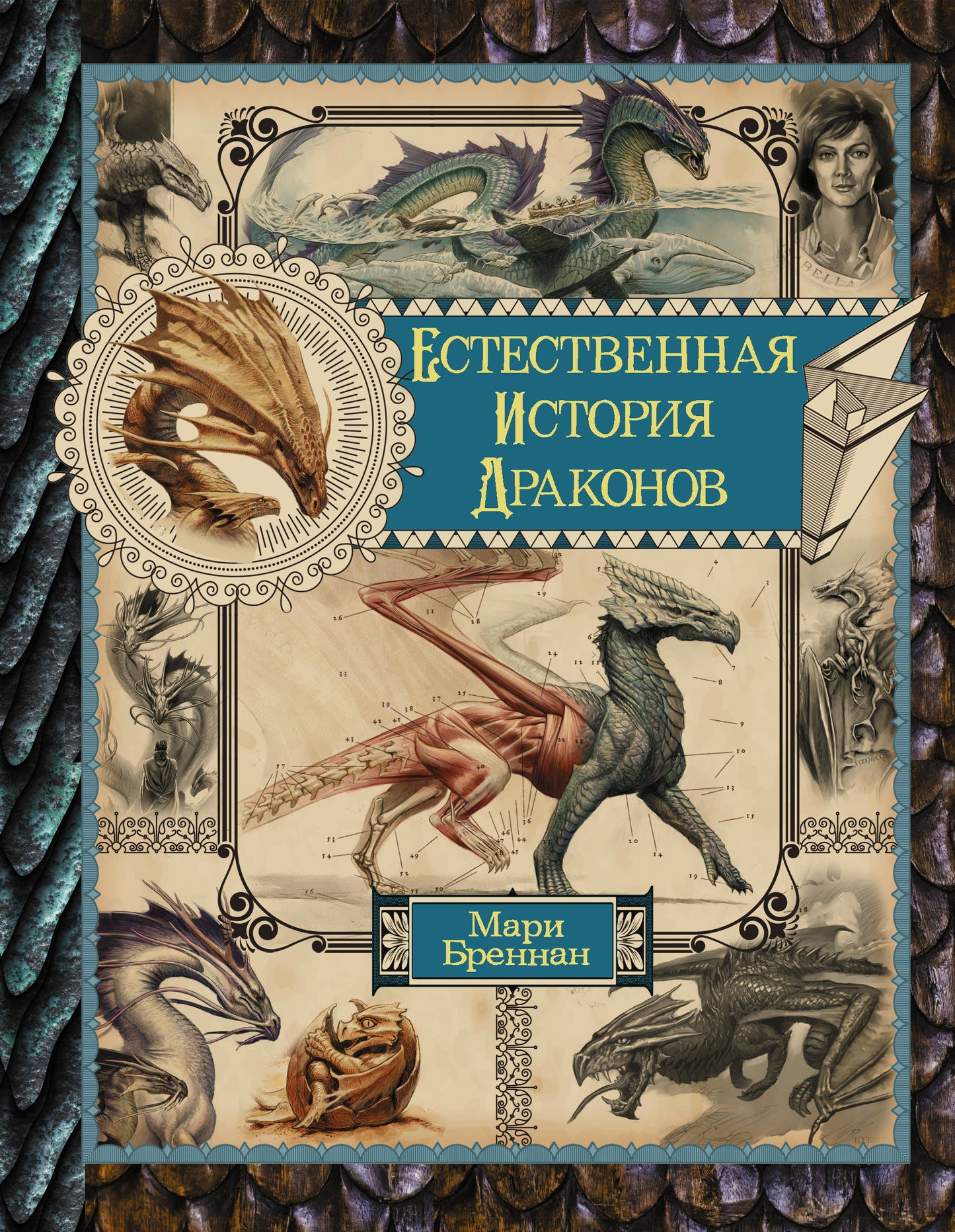 L'histoire des dragons. Omnibus