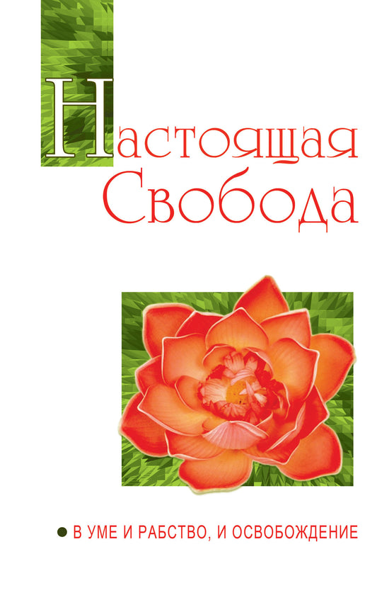 Настоящая свобода. В уме и рабство, и освобождение