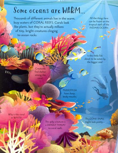 See Inside Oceans (board book)