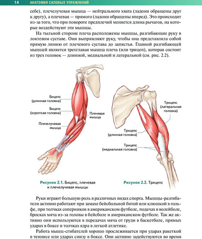Caractéristiques de l'anatomie du corps avec utilisation dans le cadre de la gestion de votre entreprise