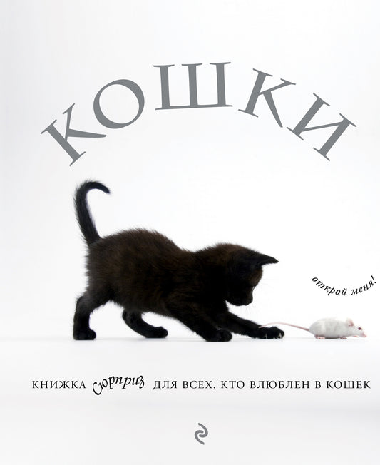 Кошки. Cliquer pour chacun d'entre vous, qui est disponible dans le coffre