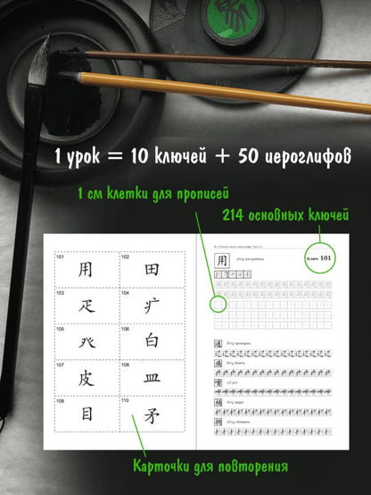 Учимся писать китайские иероглифы. Основные черты и 214 ключей. Прописи с упражнениями. В 2 ч. Ч. 2. 2-е изд., испр.и доп