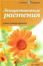 Лекарственные растения. Первая помощь природы