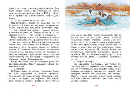 Серая Шейка