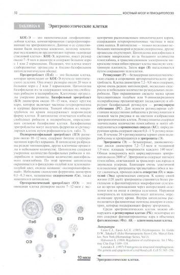 Атлас микроскопической анатомии человека: Учебное пособие для студентов медицинских и биологических специальностей ВУЗов