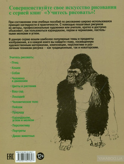 Учитесь рисовать диких животных