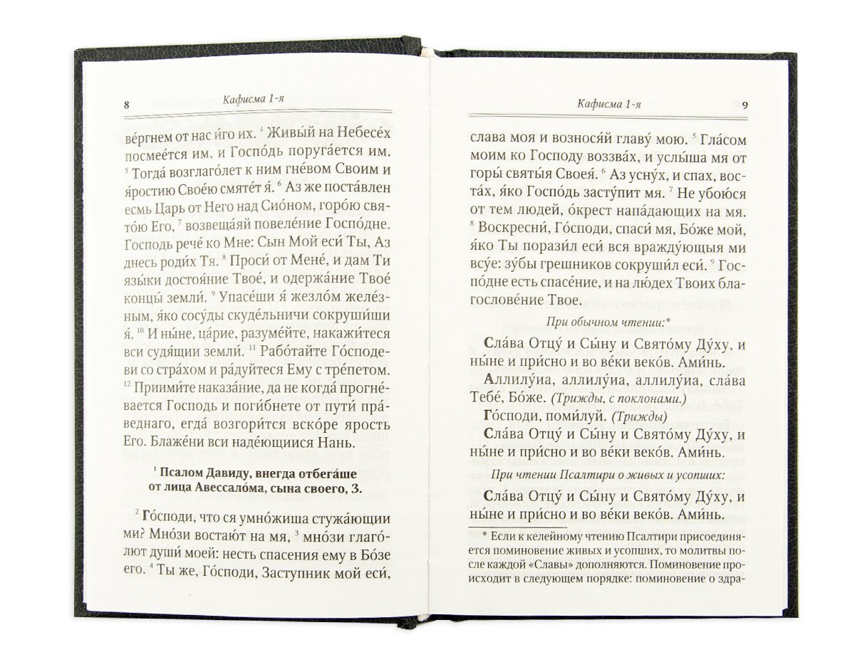 Псалтирь для мирян. Чтение Псалтири с поминовением живых и усопших (с клапаном на магните, кожа)