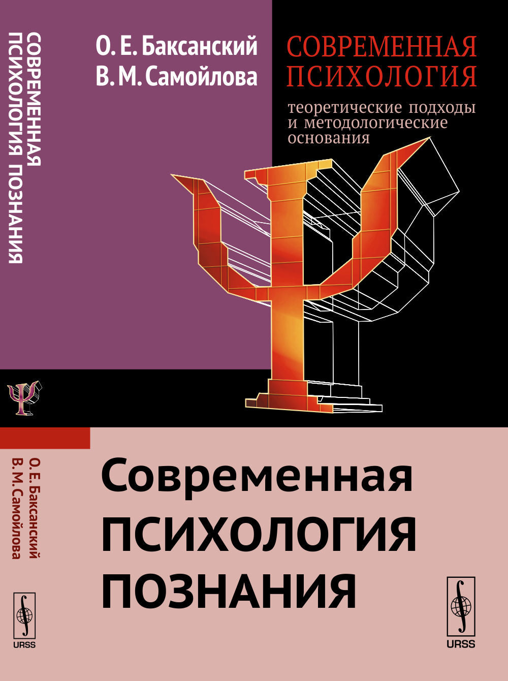 Современная психология: теоретические подходы и методологические основания. Книга 2: Современная психология познания