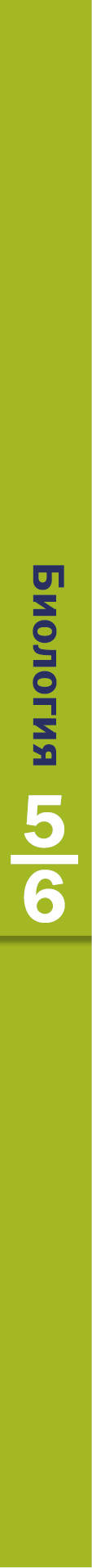 Biologie. 5-6 classe. Учебник.