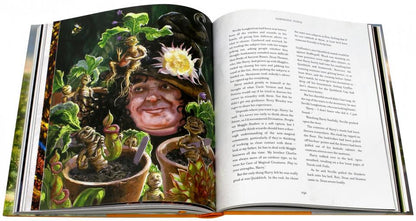 Harry Potter and the Chamber of Secrets Illustrated Edition (J.K. Rowling) Гарри Поттер и Тайная комната Илл. издание/ Книги на английском языке